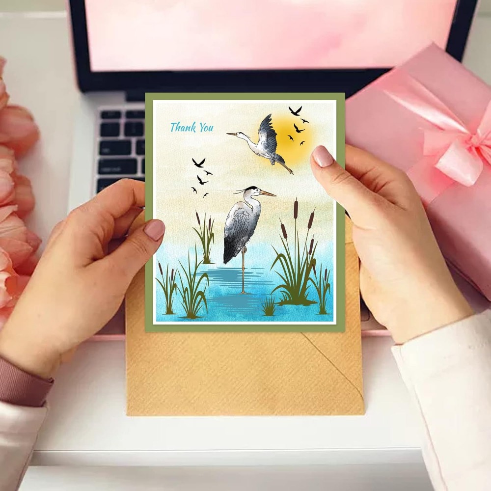 هيرون واضح Stamps الأراضي الرط - مراجعة Clear Silicone Stamps For Card Making وسعره